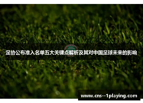 足协公布准入名单五大关键点解析及其对中国足球未来的影响