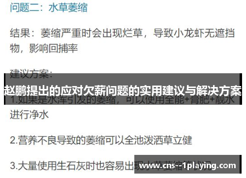 赵鹏提出的应对欠薪问题的实用建议与解决方案