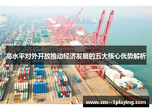 高水平对外开放推动经济发展的五大核心优势解析